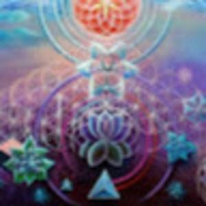 Meet your Posher, Isabel